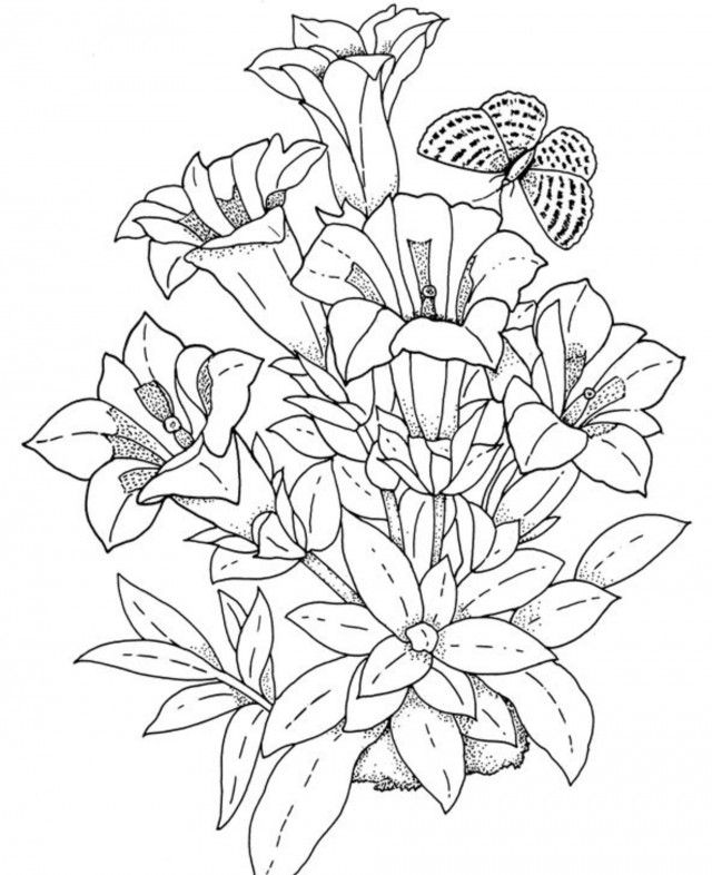 Realistic flower coloring pages