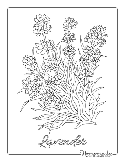 Free flower coloring pages for kids adults