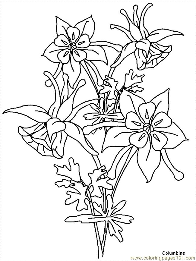 Realistic flower coloring pages