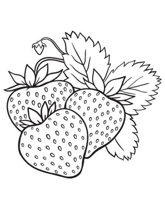 Free easy to print food coloring pages