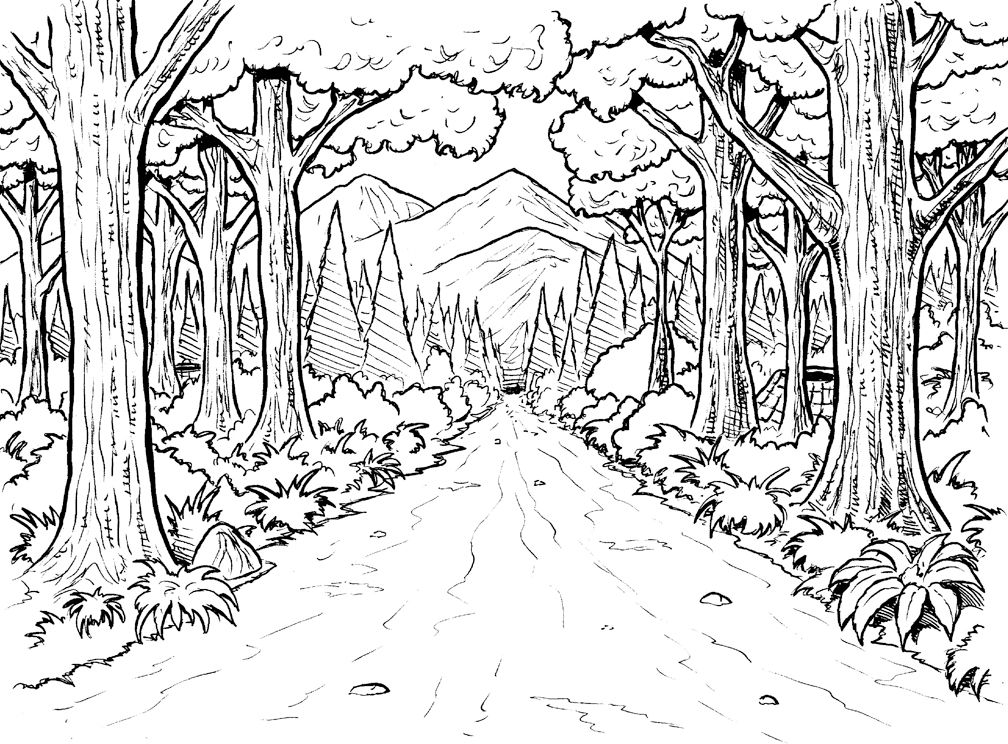 Nature lovers will adore these forest coloring pages ah the smell of the fresh â forest coloring book enchanted forest coloring enchanted forest coloring book