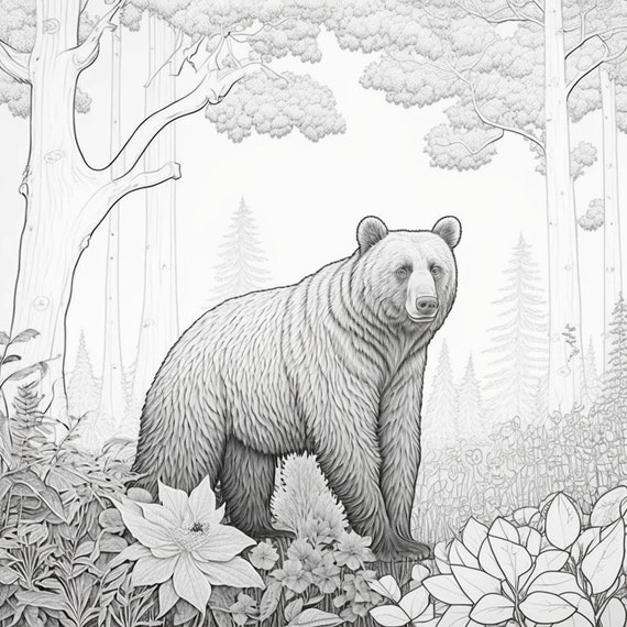 Realistic forest bear coloring pages set of