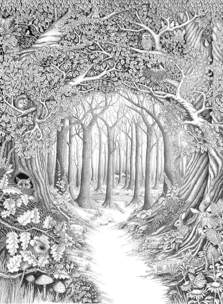 Forest woods coloring page enchanted forest by ellfi on deviantart printable adult coloring pages printable adult coloring adult coloring pages