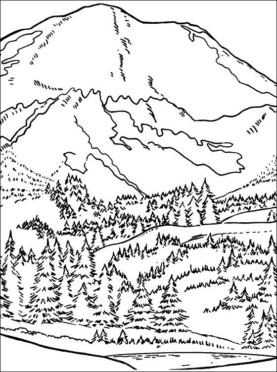 Forest coloring pages