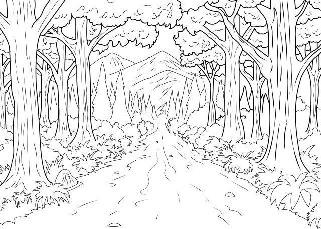 Fantastic absolutely free coloring pages forest popular the beautiful point with regards toâ jungle coloring pages forest coloring pages abstract coloring pages