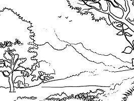 Forest coloring pages printable for free download