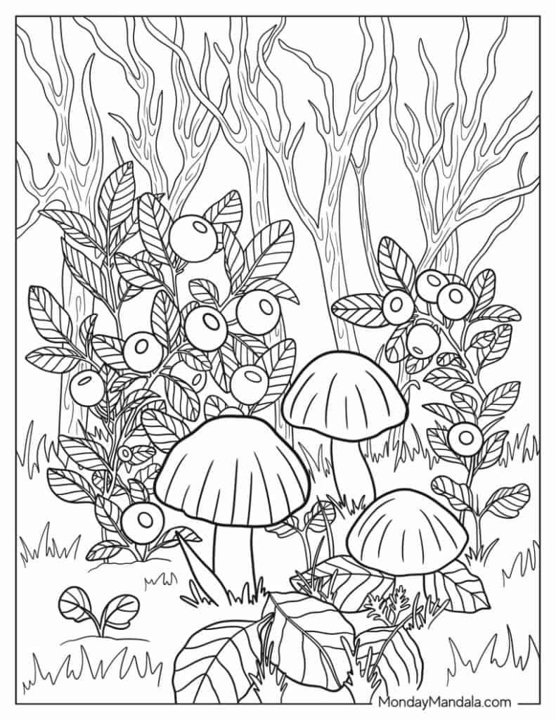 Mushroom coloring pages free pdf printables