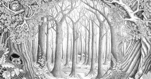 Forest coloring pages adult coloring pages coloring pages