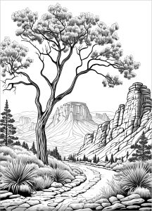 Tree coloring pages for adults kids