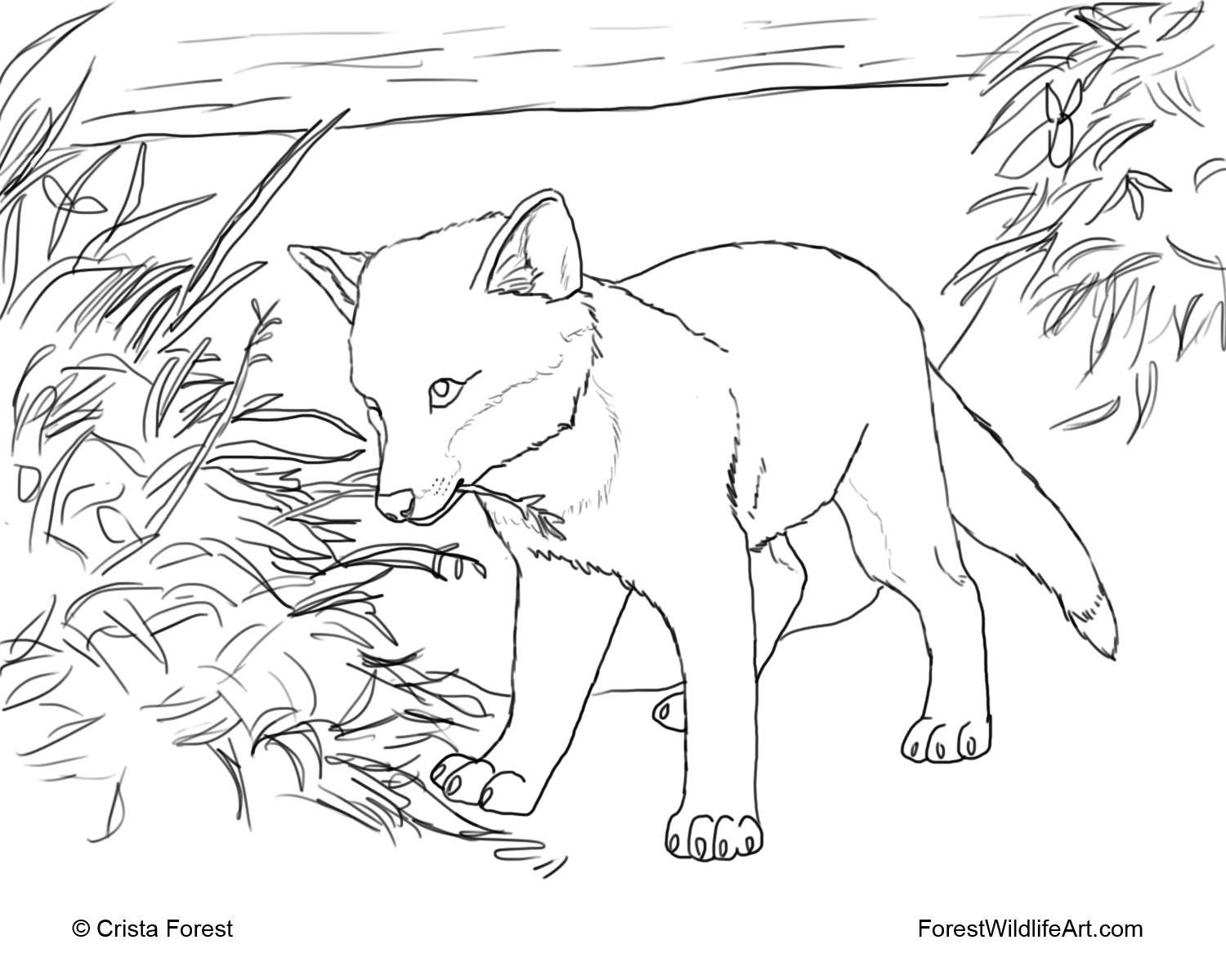 Crista forests animals art coloring book page