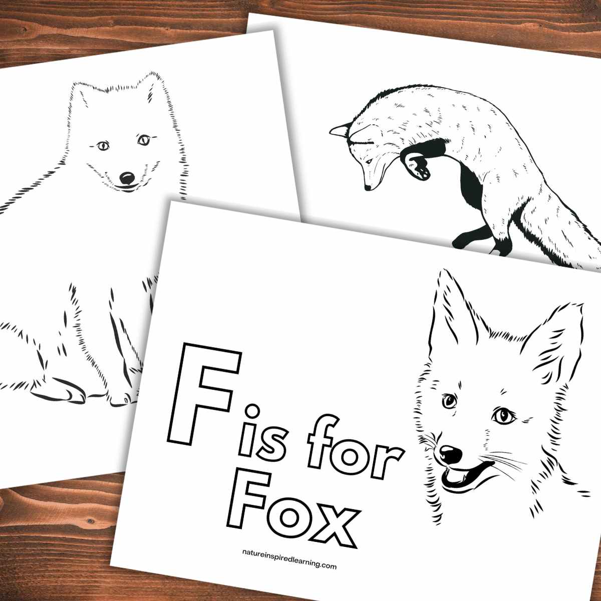 Realistic fox coloring pages