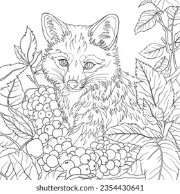 Relax coloring fox images stock photos d objects vectors