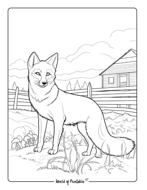 Fox coloring pages for kids adults
