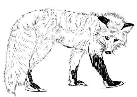 Red fox coloring page free printable coloring pages