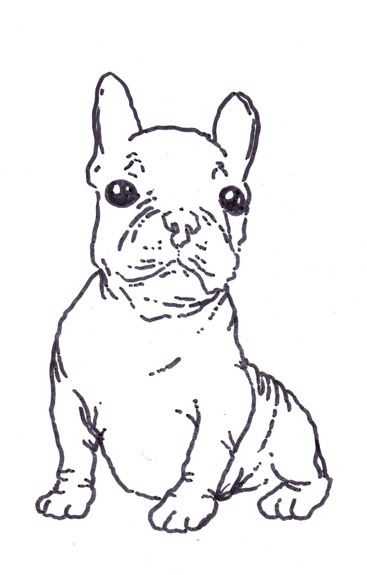 French bulldog coloring pages