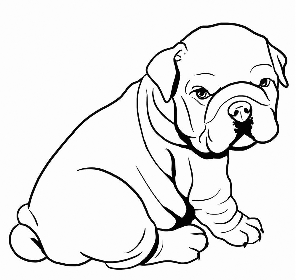 Bulldog coloring pages