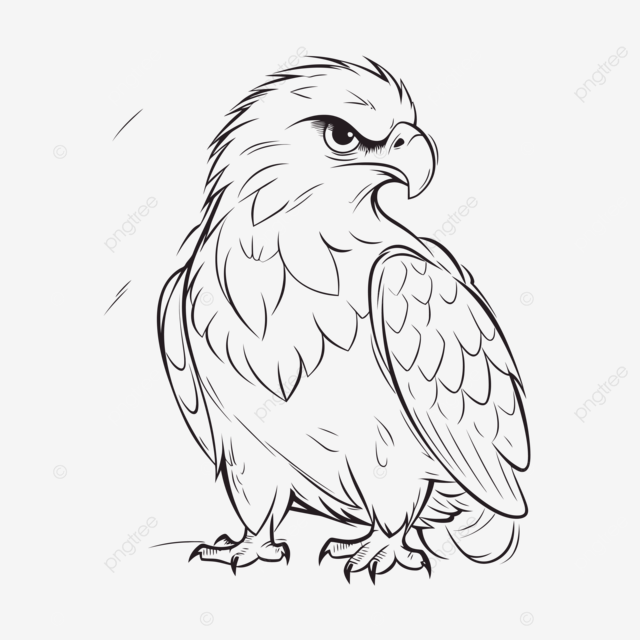 Eagle drawing by eddie free coloring pages outline sketch vector realistic eagle drawing realistic eagle outline realistic eagle sketch png and vector with transparent background for free download