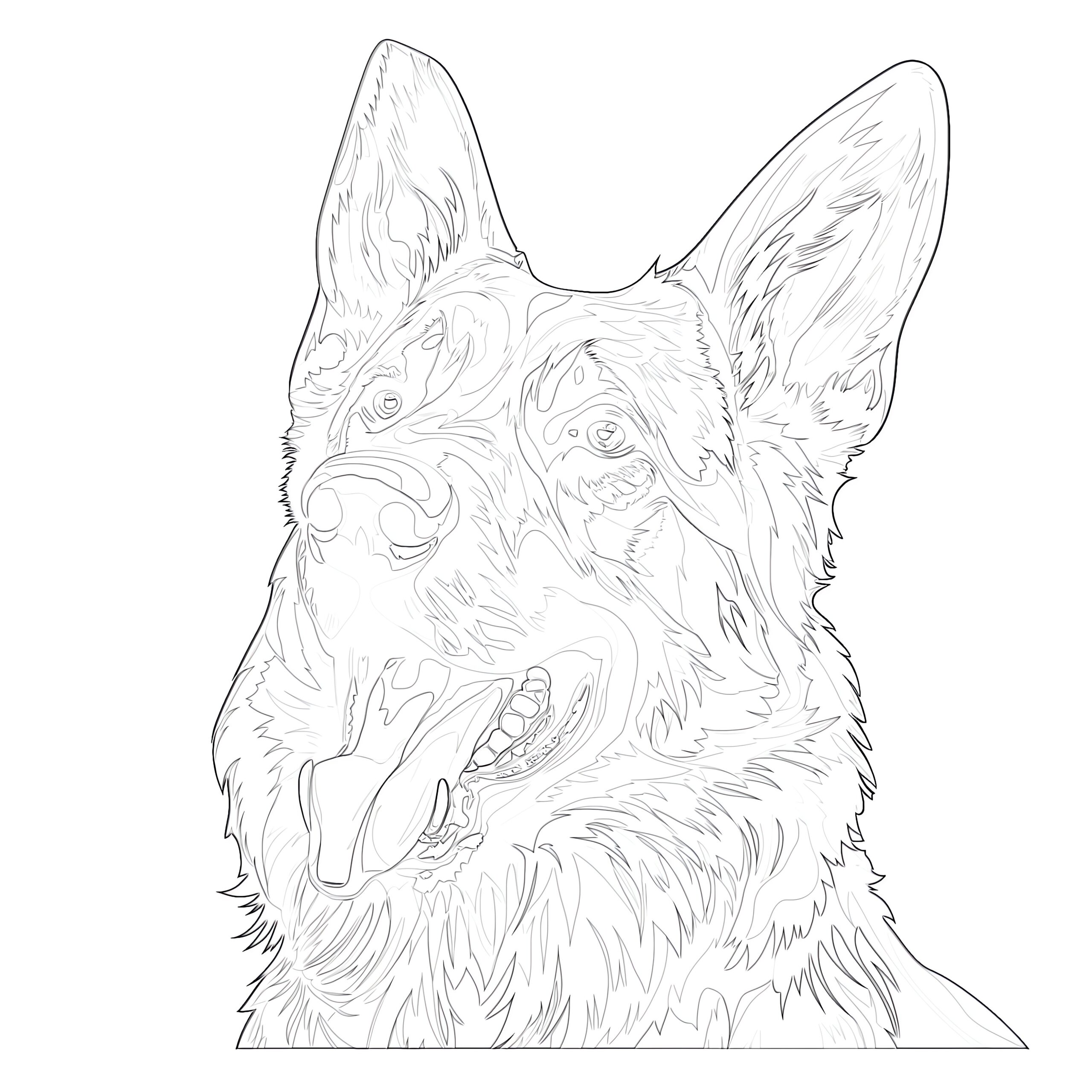 German shepherd coloring page coloring pages mimi panda