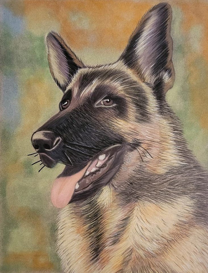 Grayscale coloring page dog german shepherd bim â the art of julia spiri