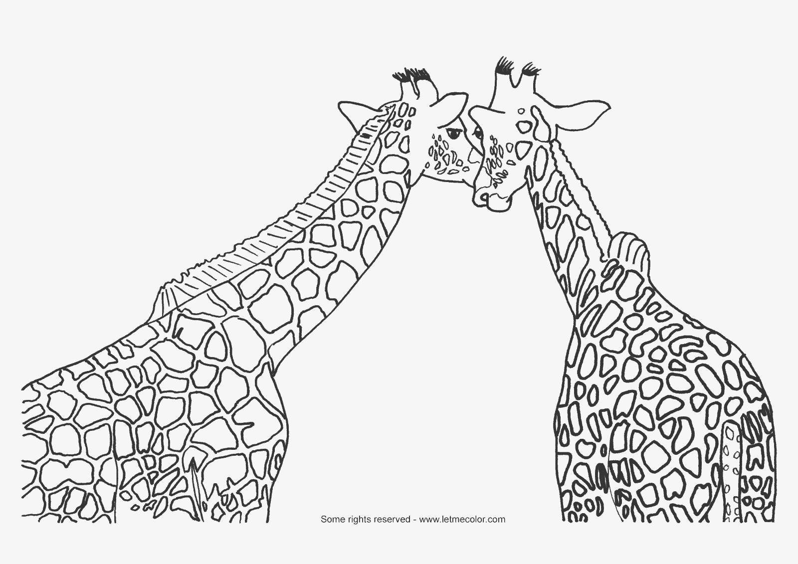 Coloring giraffe