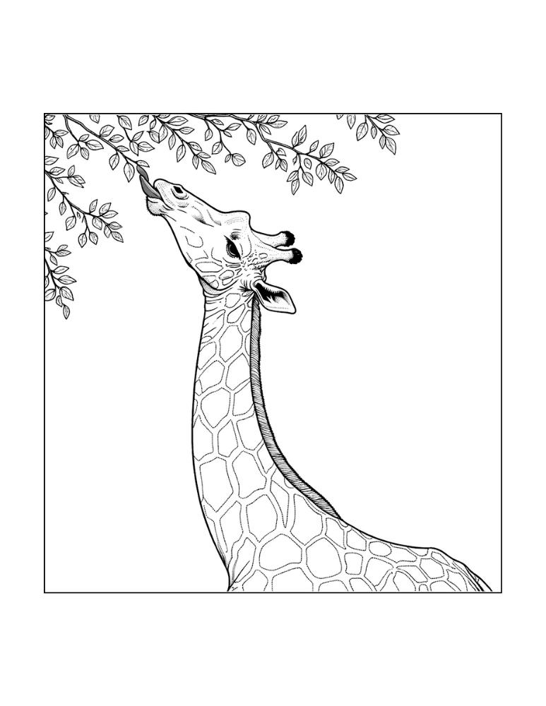 Free giraffe coloring pages