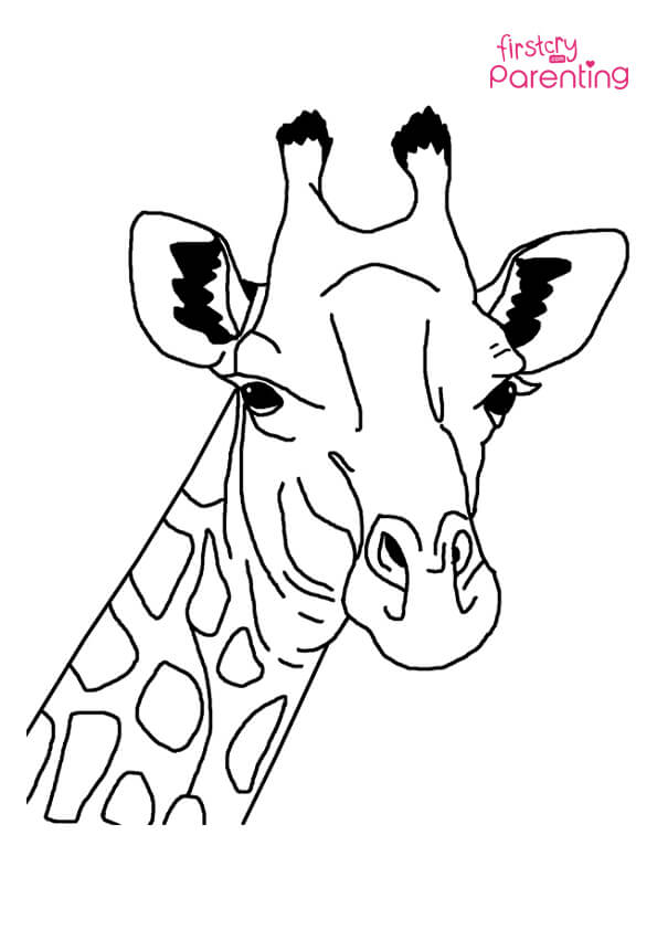 Realistic giraffe coloring page for kids