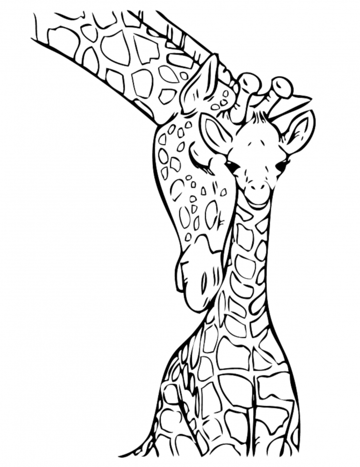 Get this giraffe coloring pages realistic animals