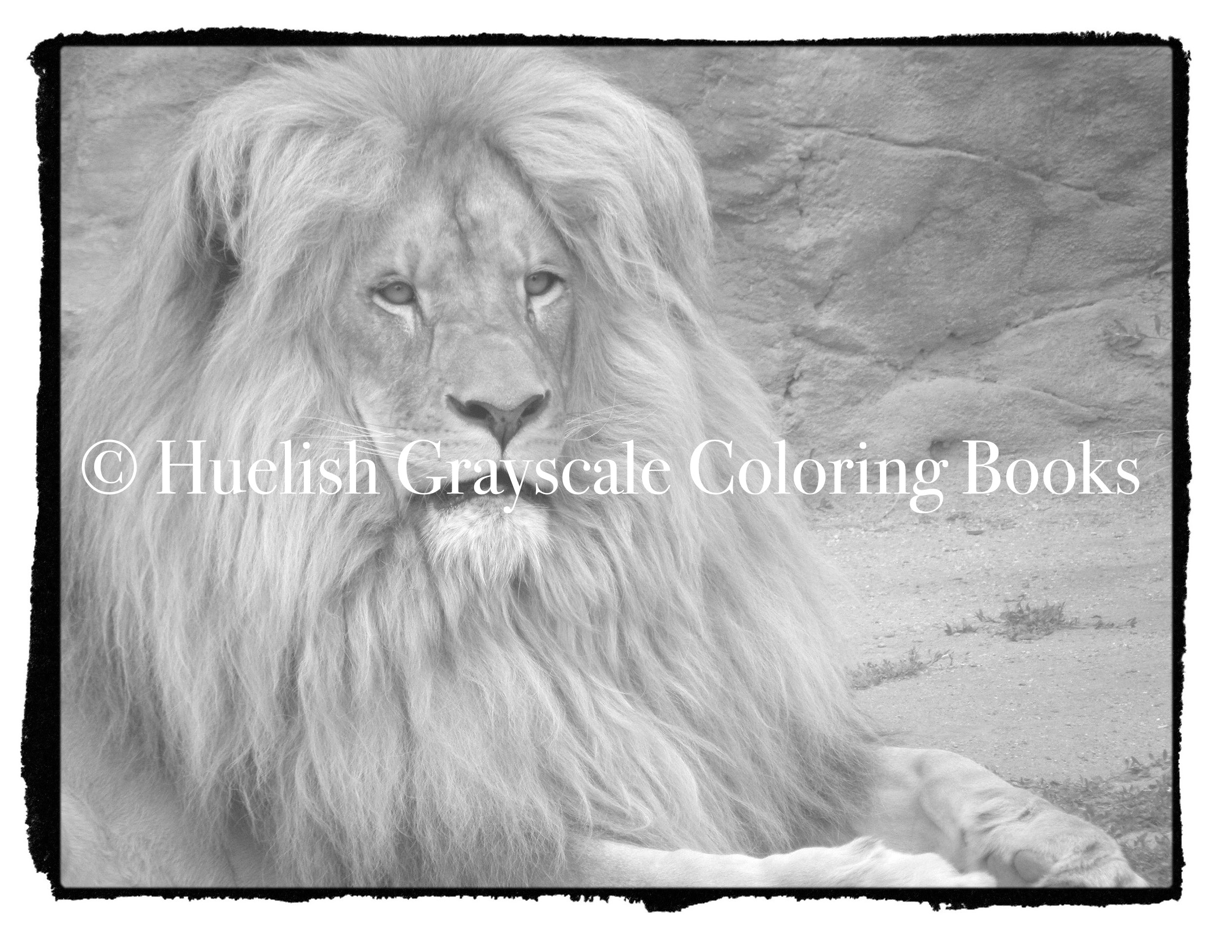 Downloadable grayscale coloring page lion from beautiful creatures