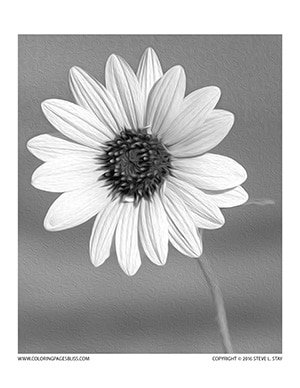 Realistic grayscale coloring pages