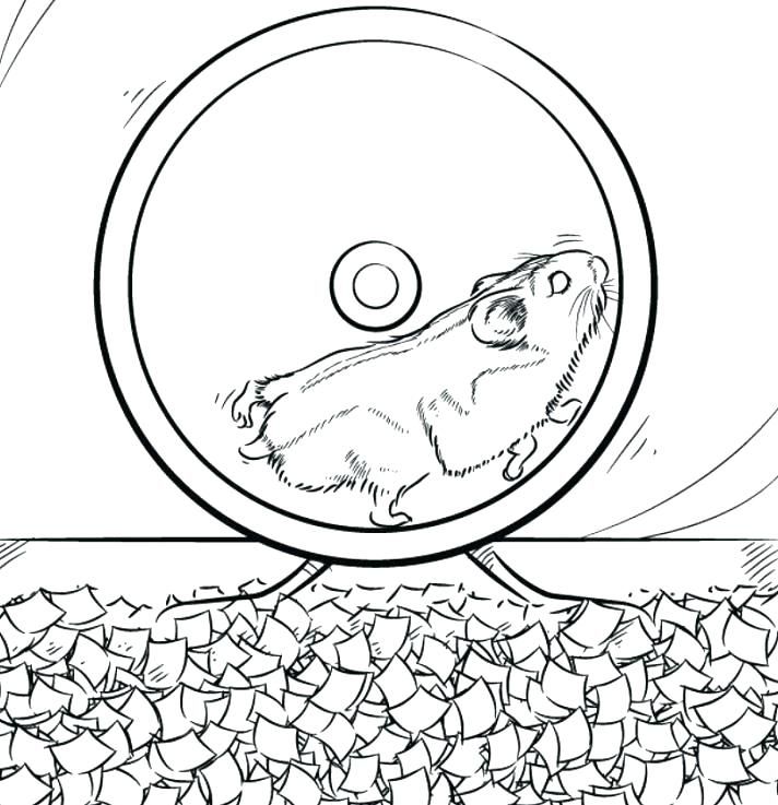 Hamster coloring pages