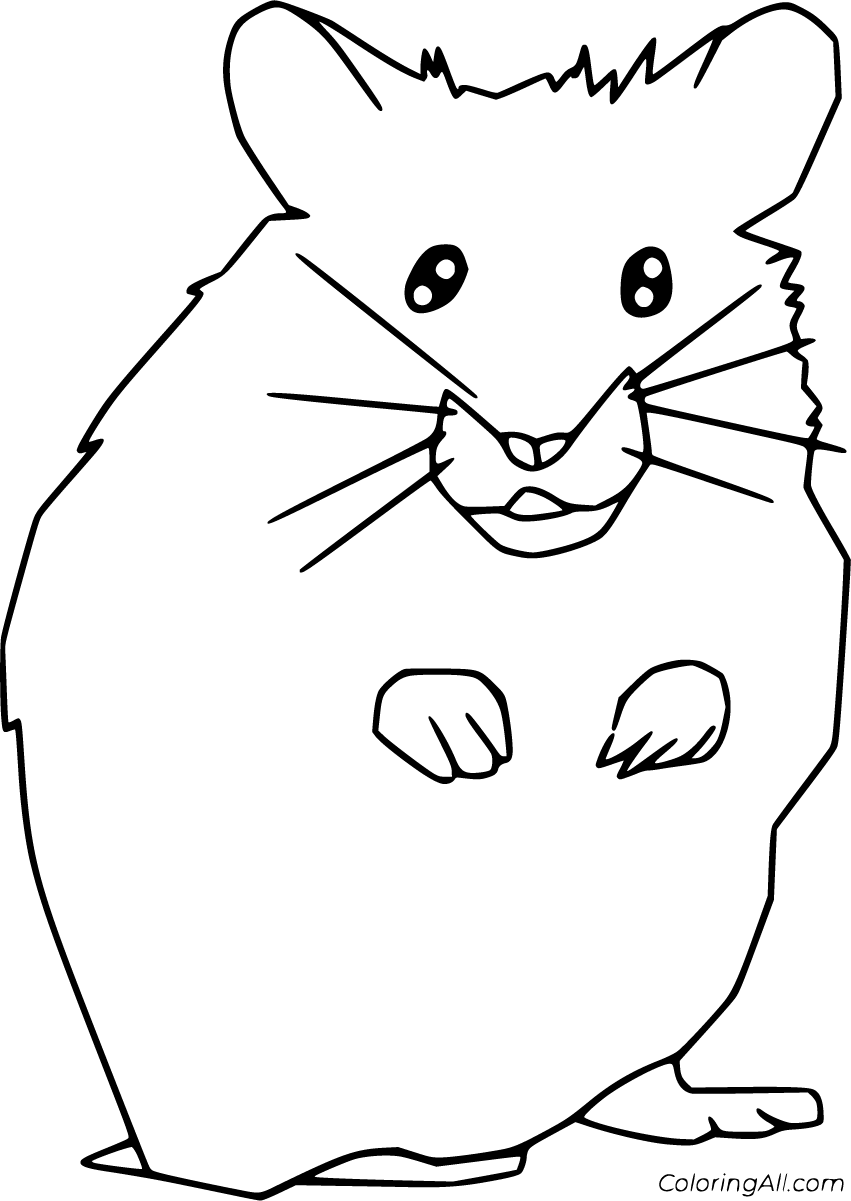 Hamster coloring pages