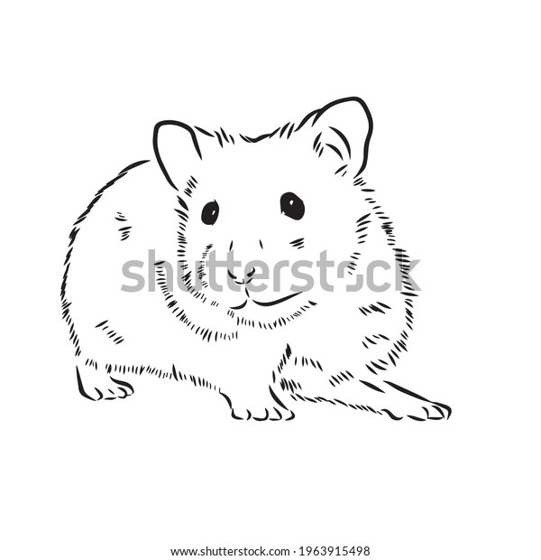 Funny hamster coloring pages animal coloring stock vector royalty free