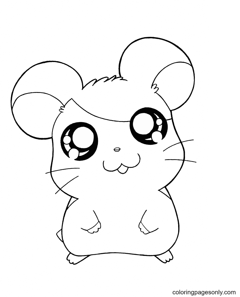 Hamster coloring pages printable for free download