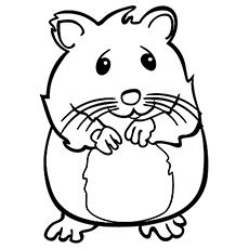 Top free printable hamster coloring pages online cute hamsters hamster hamsters as pets