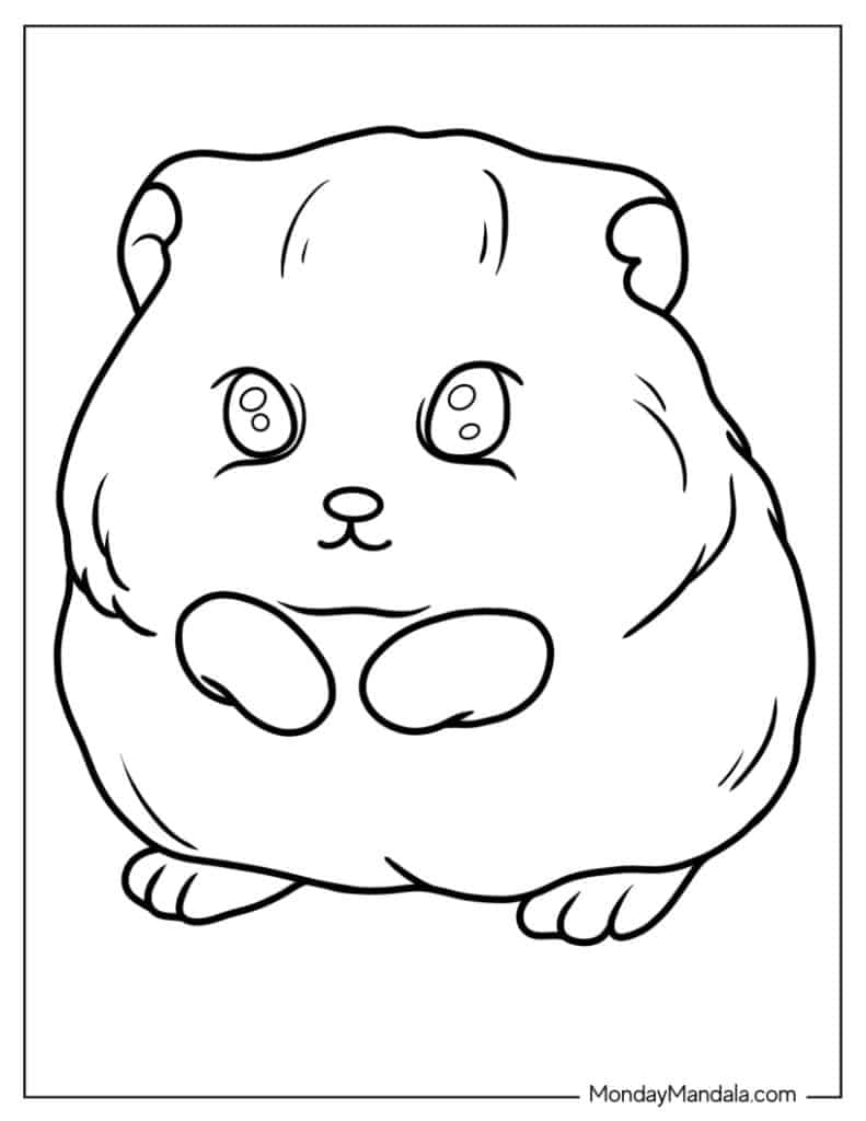 Hamster coloring pages free pdf printables