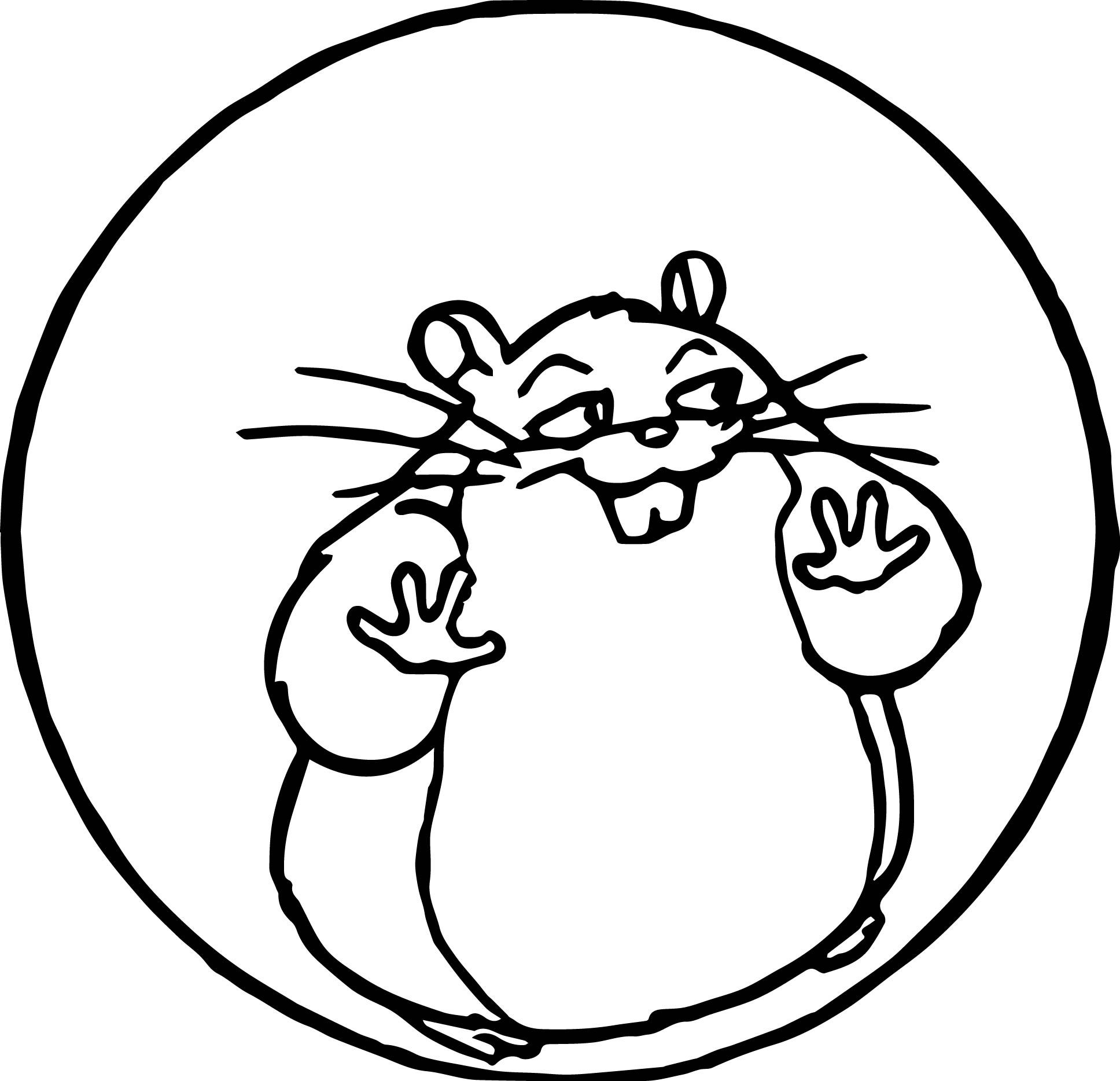 Hamster coloring pages