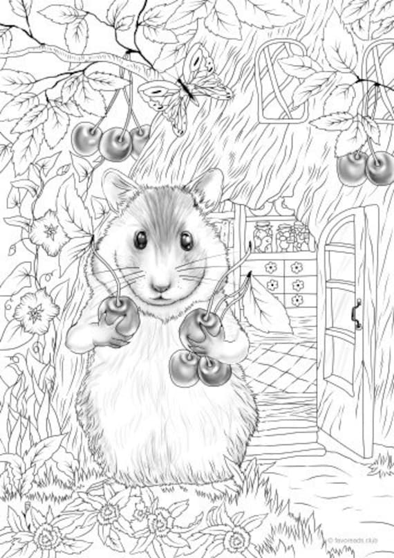 Hamster printable adult coloring page from favoreads coloring book pages for adults and kids coloring sheets coloring designs