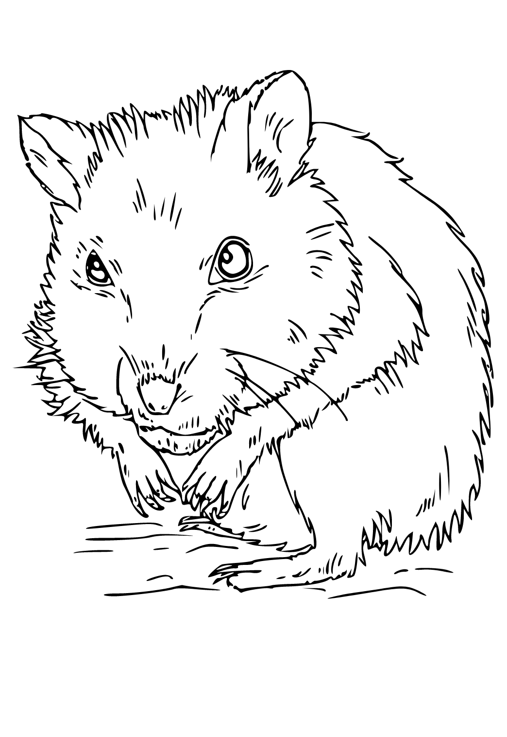 Free printable hamster real coloring page for adults and kids