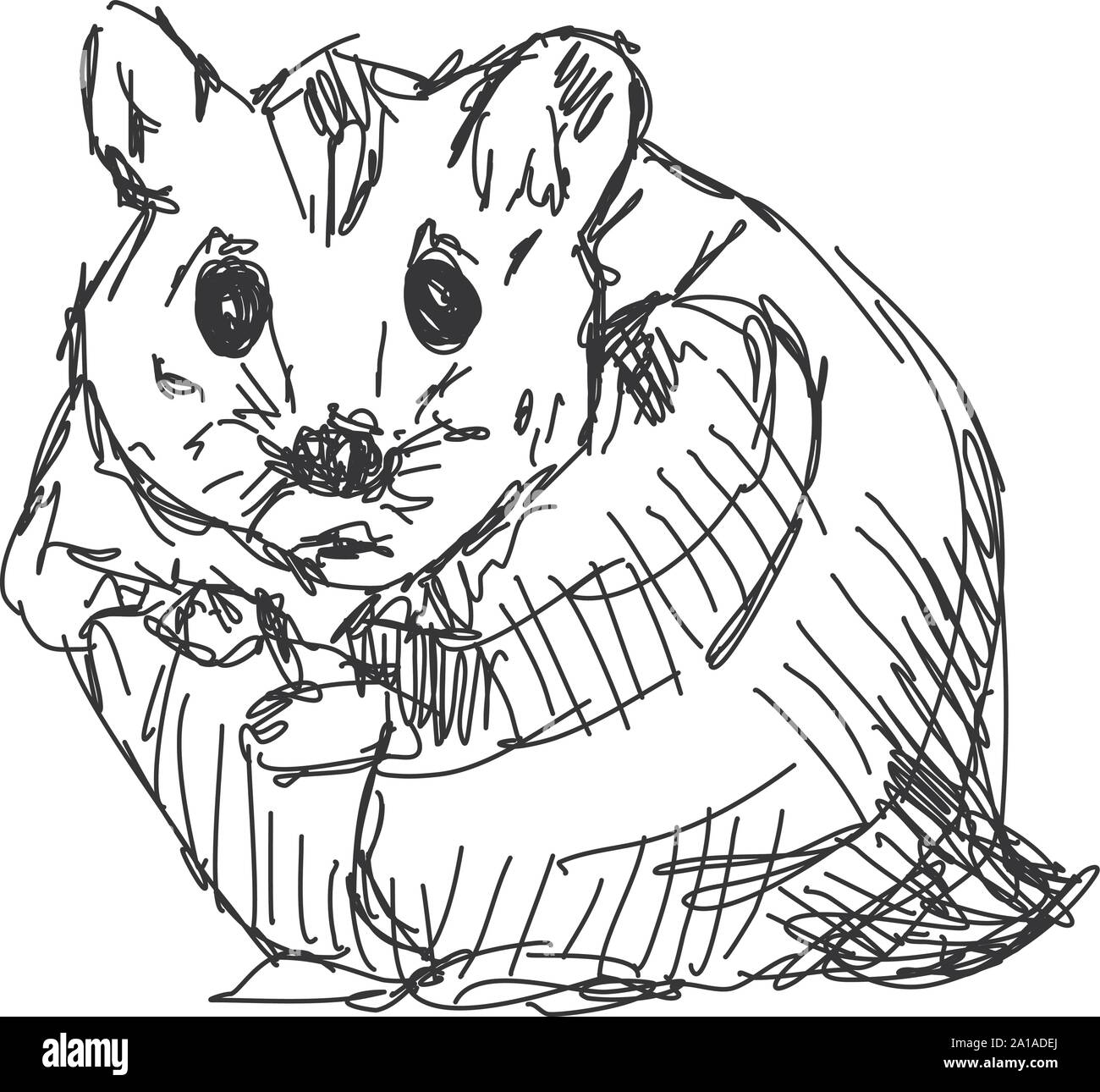 Hamster drawing hi