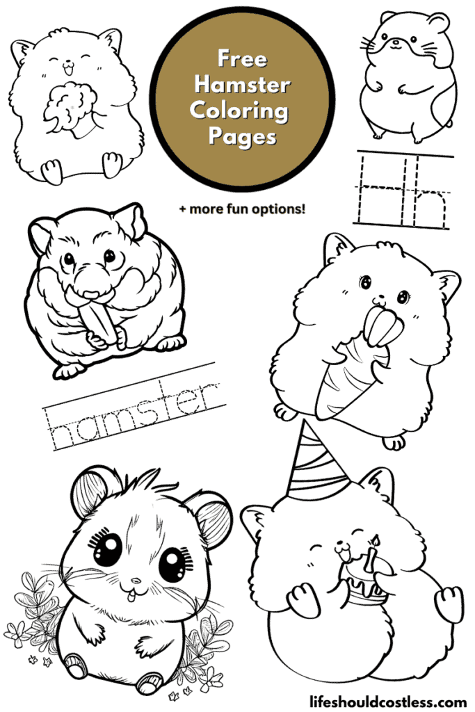 Hamster coloring pages free printable pdf templates