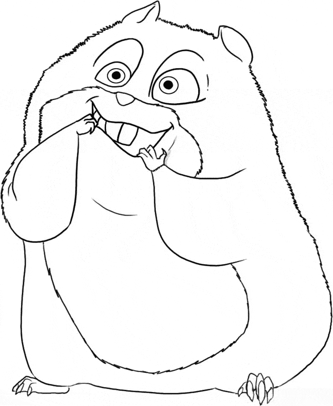 Hamster coloring page