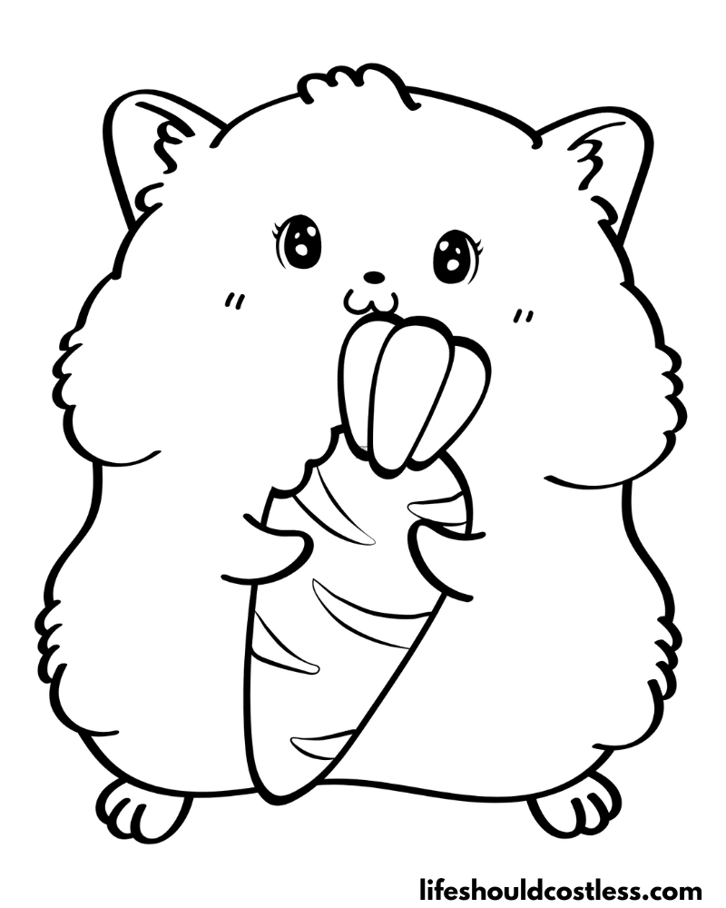 Hamster coloring pages free printable pdf templates