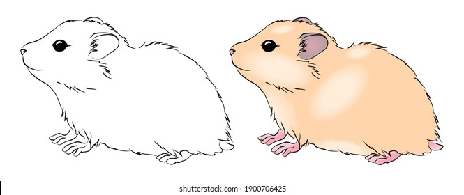 Vector illustrations black outline colored hamster stock vector royalty free