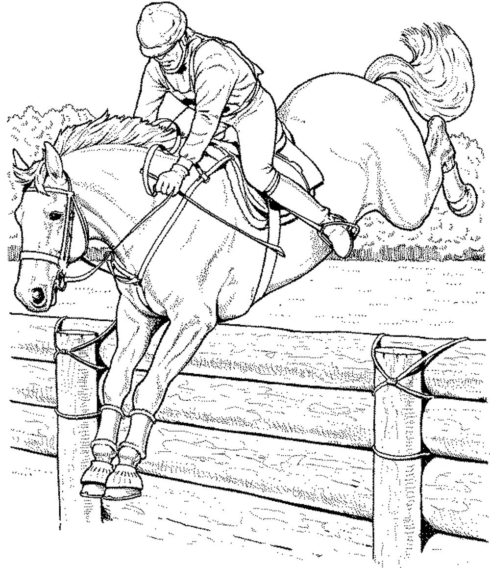 Horse coloring pages for adults