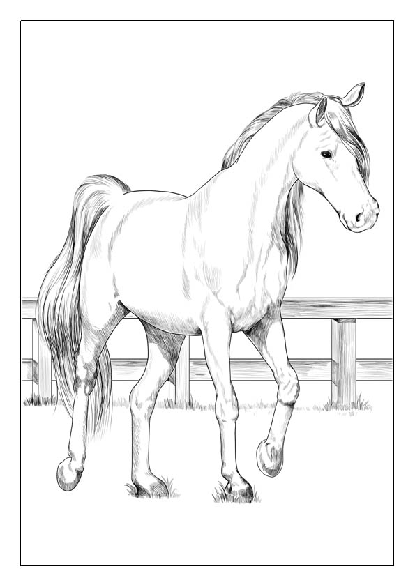 Horse coloring pages printable coloring sheets