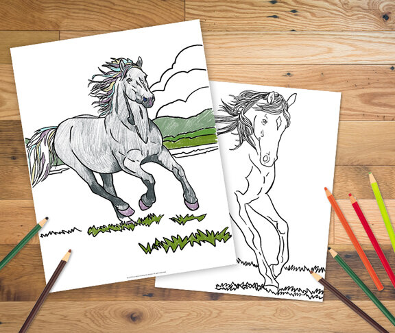 Horses coloring pages â corvidae drawings designs