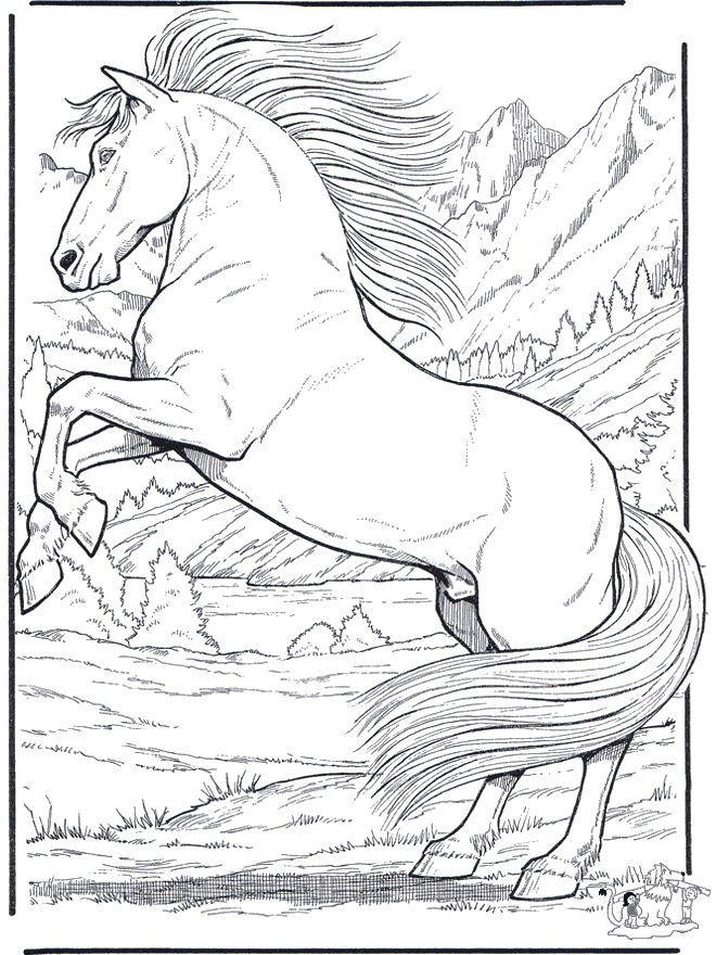 Stunning horse coloring pages