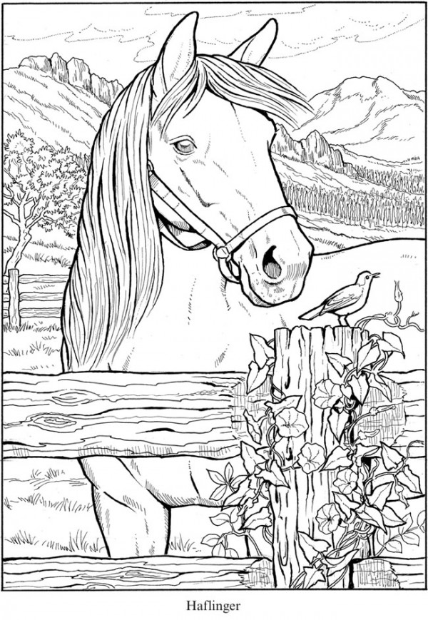 Free horse coloring pages â