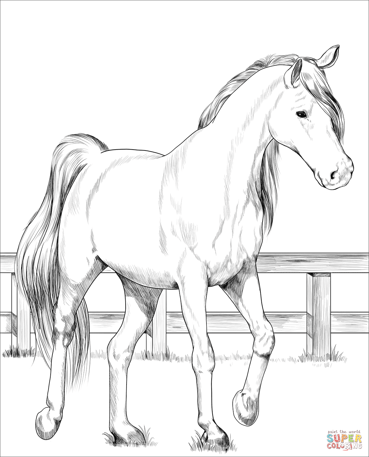 Trakehner horse coloring page free printable coloring pages