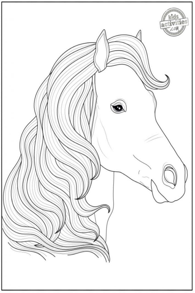 Realistic free printable horse coloring pages kids activities blog